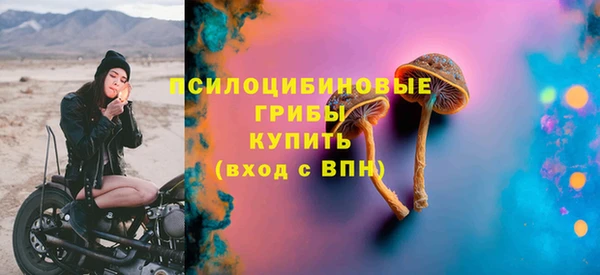 бошки Алексин