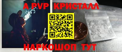 шишки Кандалакша
