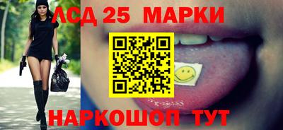 шишки Кандалакша