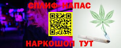 шишки Кандалакша