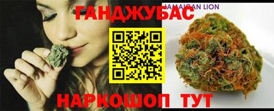 шишки Кандалакша