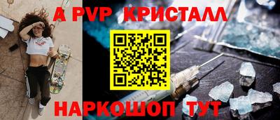 шишки Кандалакша