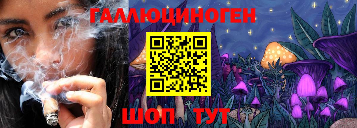 Галлюциногенные грибы Cubensis Курчатов